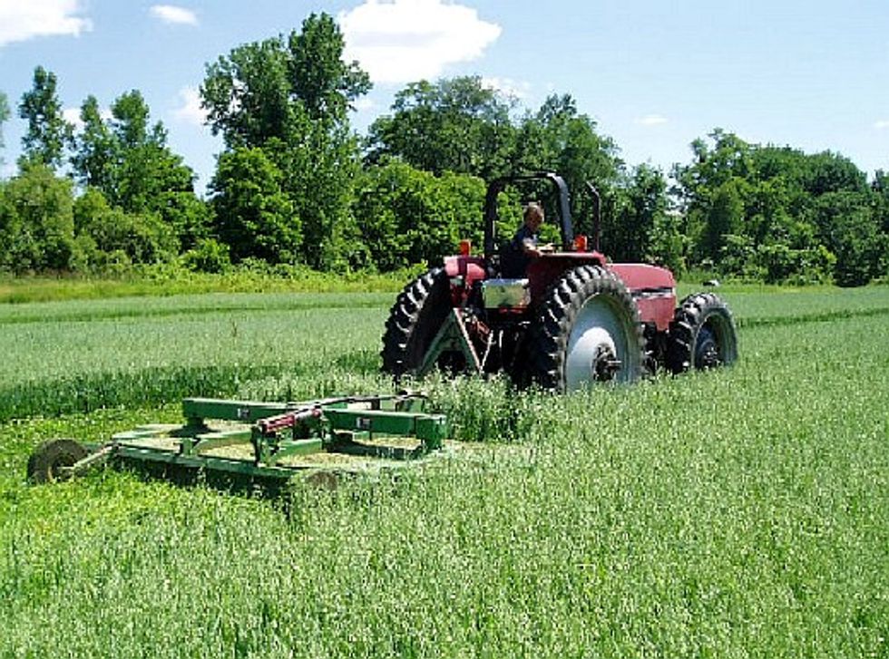 From Lab to Plate—A Primer on GE Food