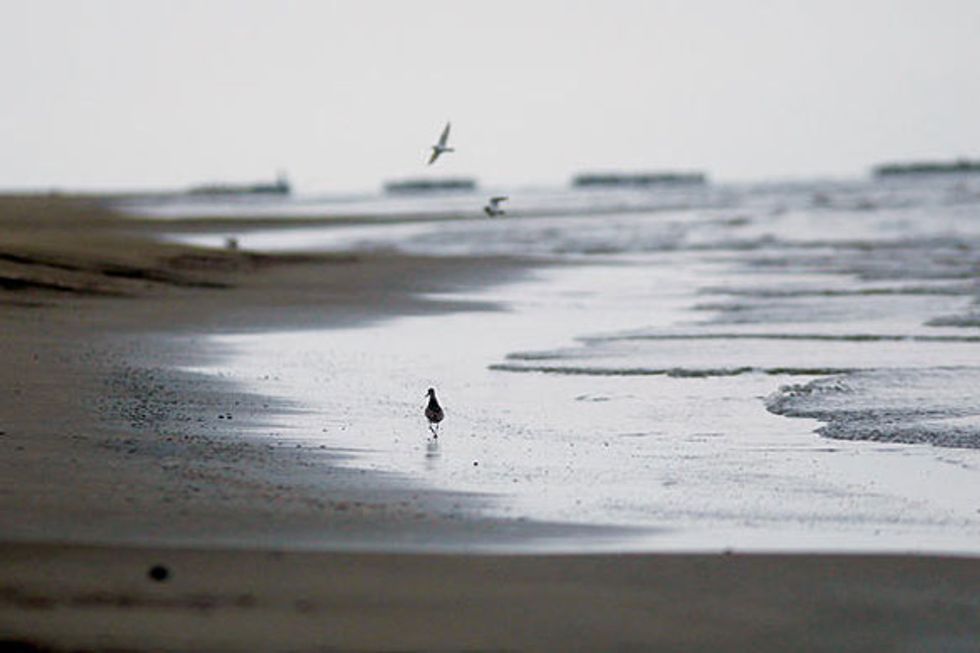 State of the Gulf Report Released by Save Our Gulf Waterkeepers