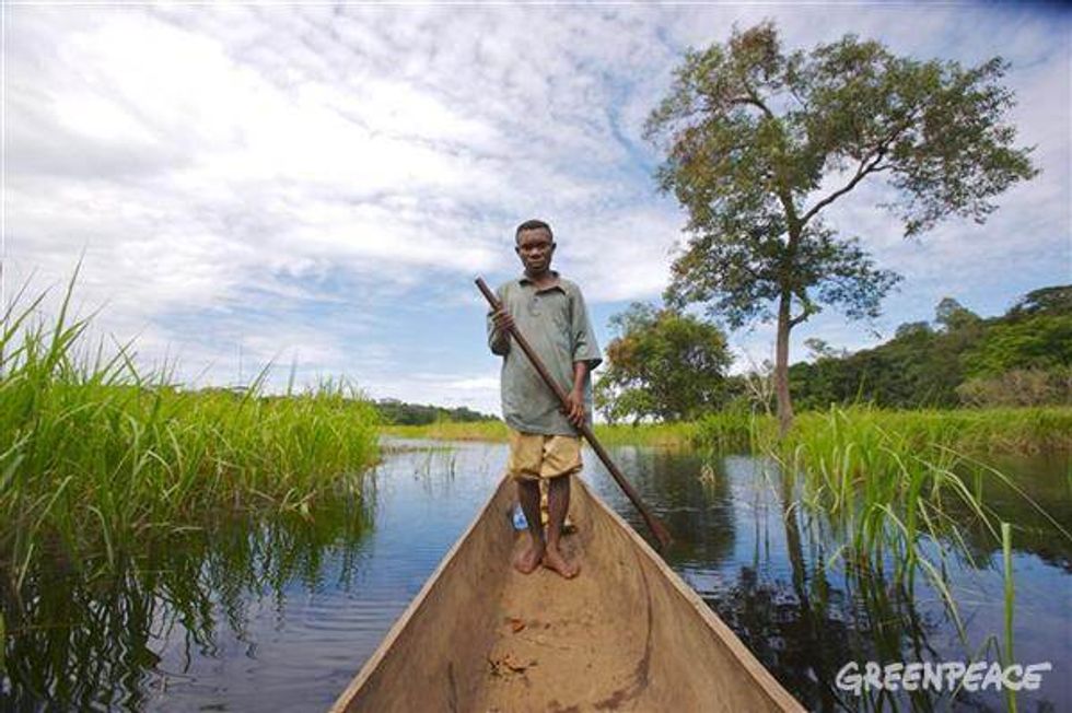 Logging in the Congo Exacerbates Poverty and Leads to Social Conflicts