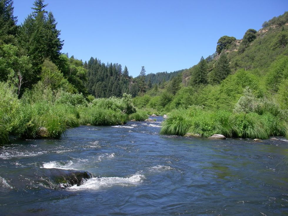 Senate Threatens Clean Water with Pesticide Amendment
