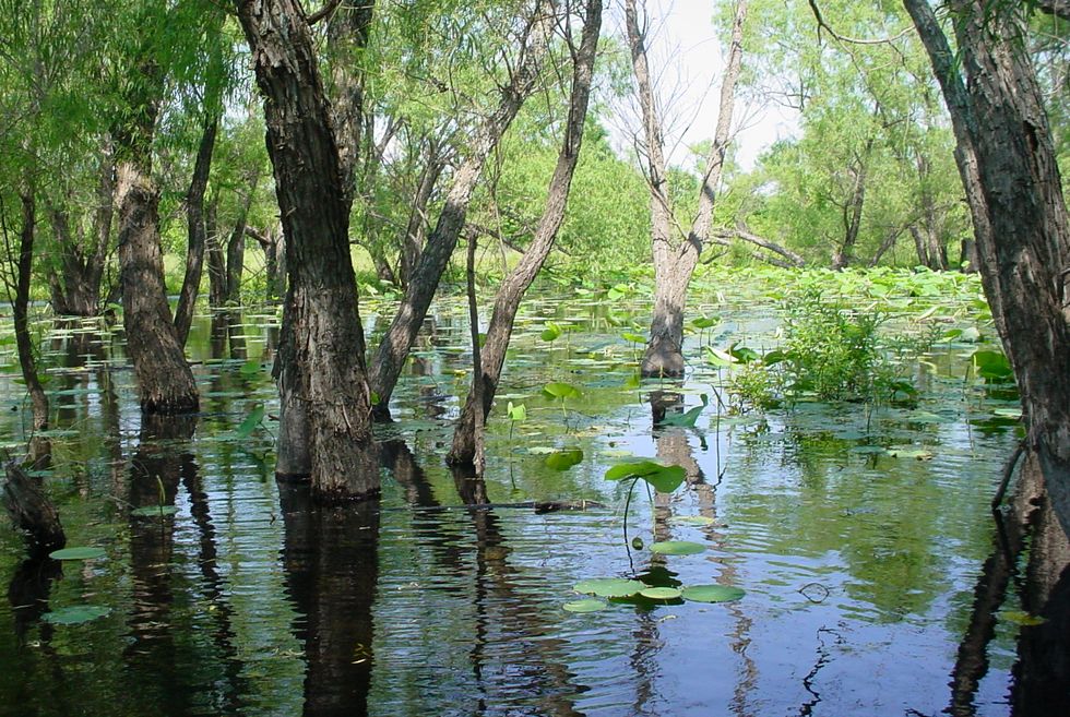 Five-Year Study Affirms Continued Need for Wetlands Conservation