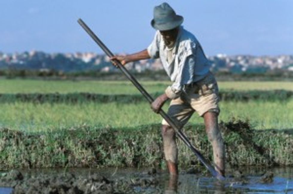 Multi-Pronged Approach Needed to Fight Global Hunger