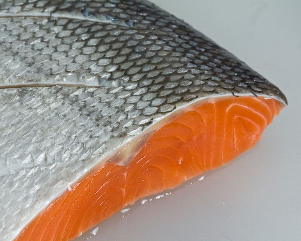 GE Salmon Clears Another Hurdle