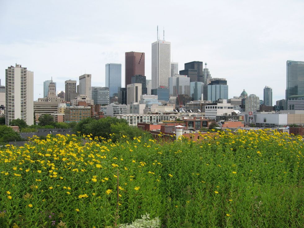 Are You Eligible for a Sustainable Agriculture Grant?