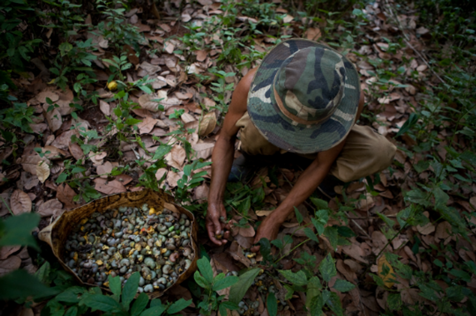Environmental Trends Threaten Global Progress for the Poor