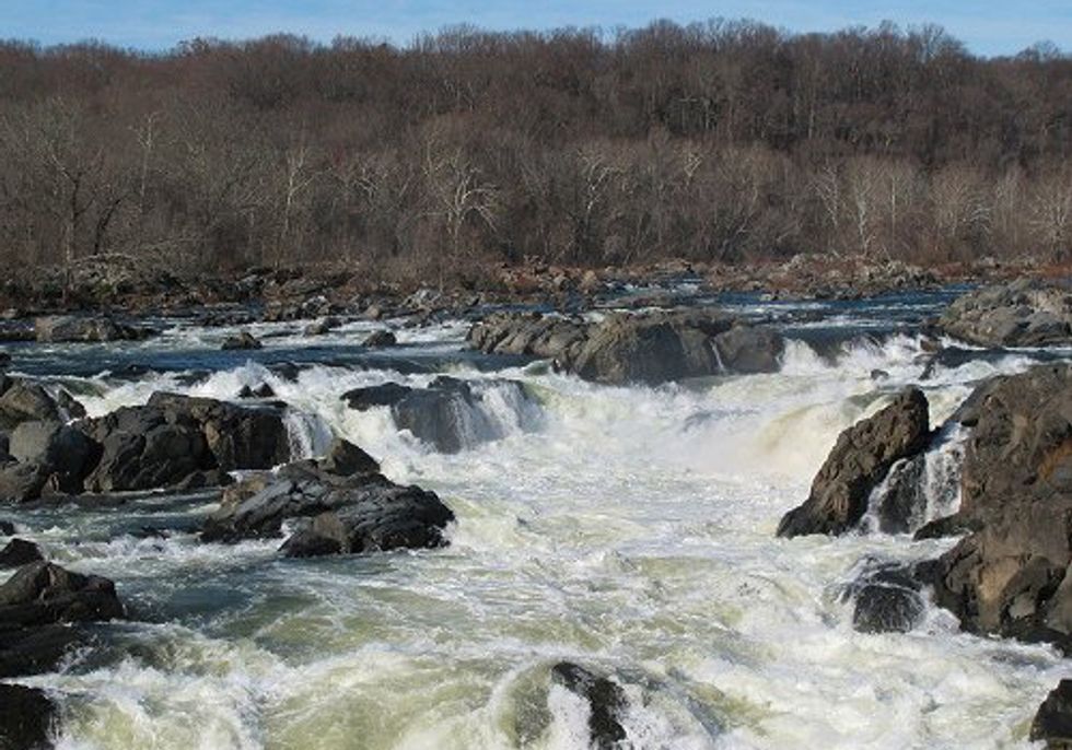 Clean Water Victory Opens Courtroom Doors in Maryland