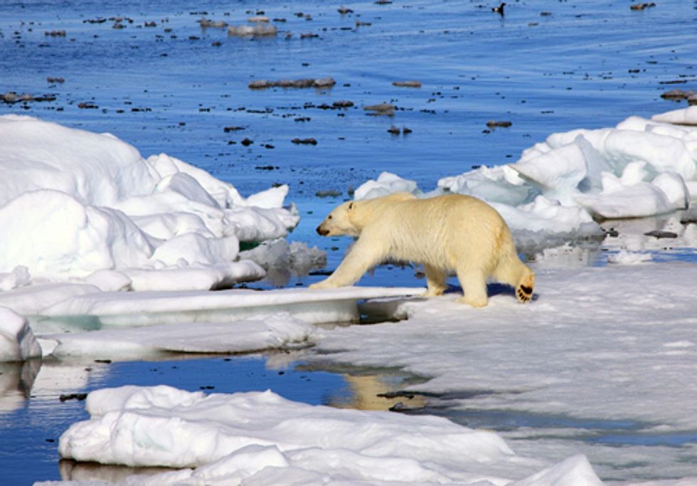 Obama, Suspend Arctic Ocean Drilling