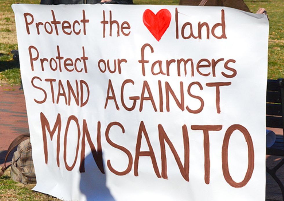 Hundreds Protest Demanding Monsanto End Intimidation Campaign Over GMOs and Obama Halt Approval of GE Foods