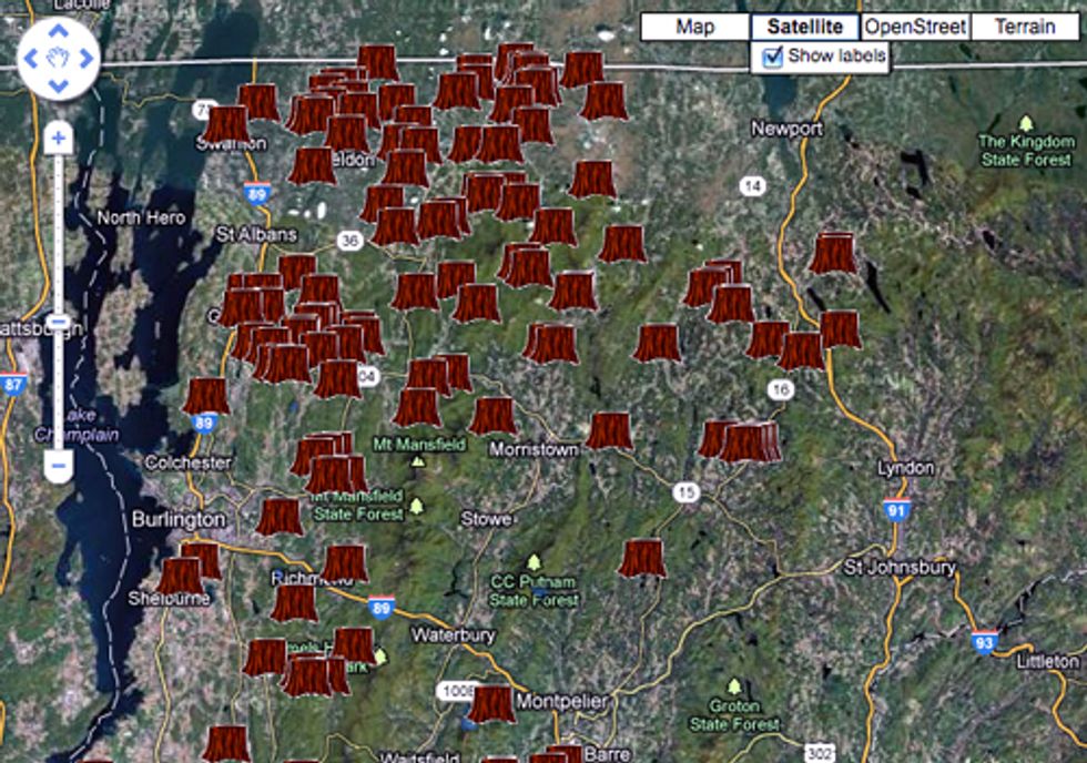 Mapping Project Tracks Logging for Biomass Energy