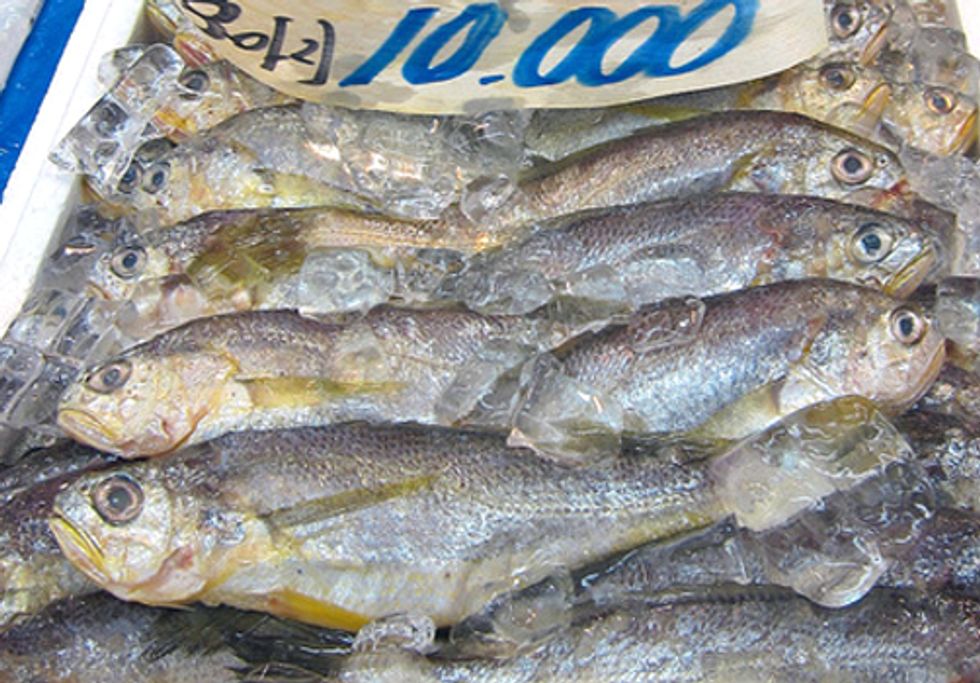 Seafood Mislabeling: How Does it Impact You?