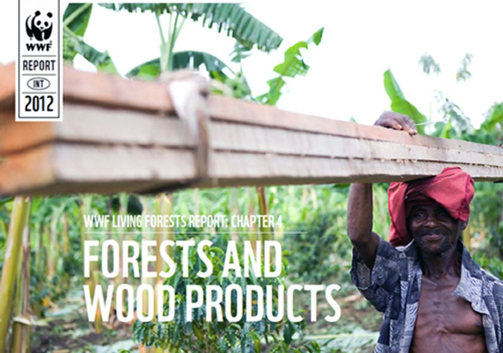 Ecosystems at Risk as Demand for Wood Products Soars Worldwide