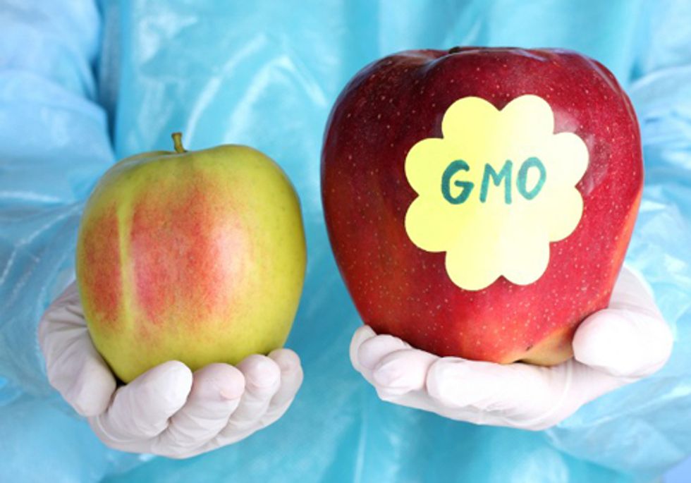 Two States Introduce Bills Requiring Genetically Engineered Food Labels