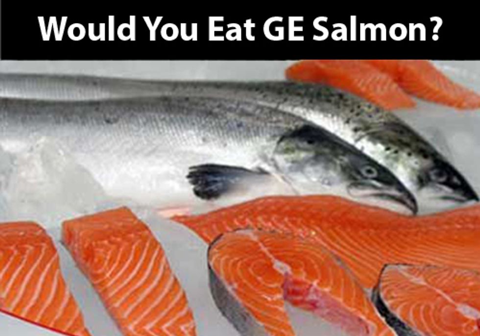 FDA Extends Comment Period for GE Salmon