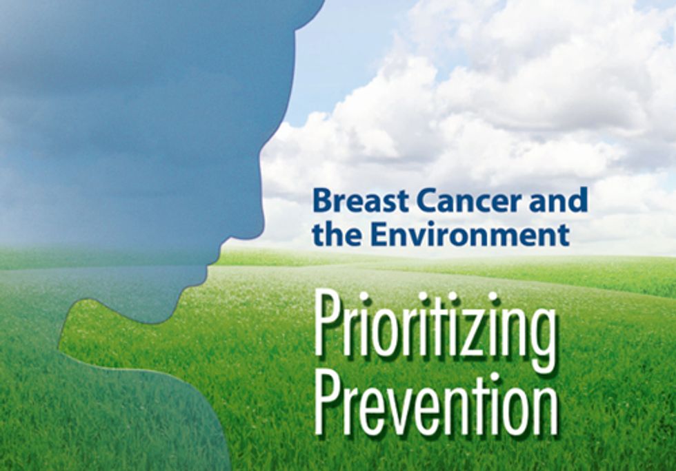 Prevention as Cure: Breast Cancer and the Environment
