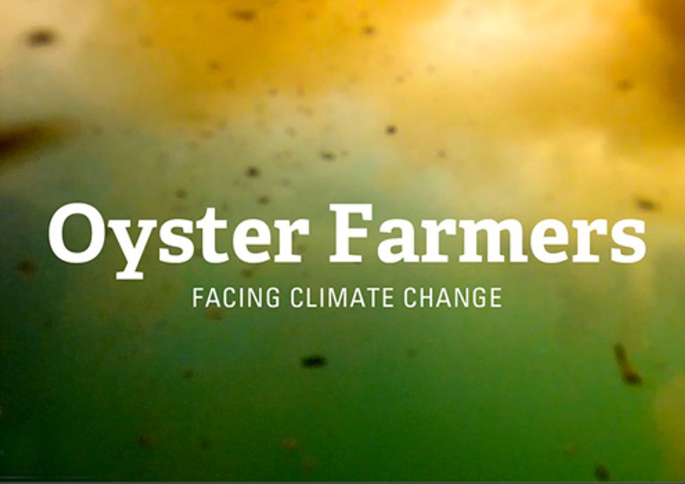 VIDEO: Facing Climate Change—How Ocean Acidification is Impacting Oyster Farmers