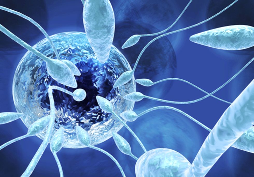 Scientists Warn of Sperm Count Declines Linked to Pesticide Exposure