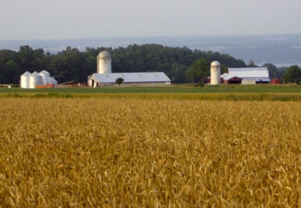 Family Farmers Ask FDA for More Time to Analyze New Food Safety Rules