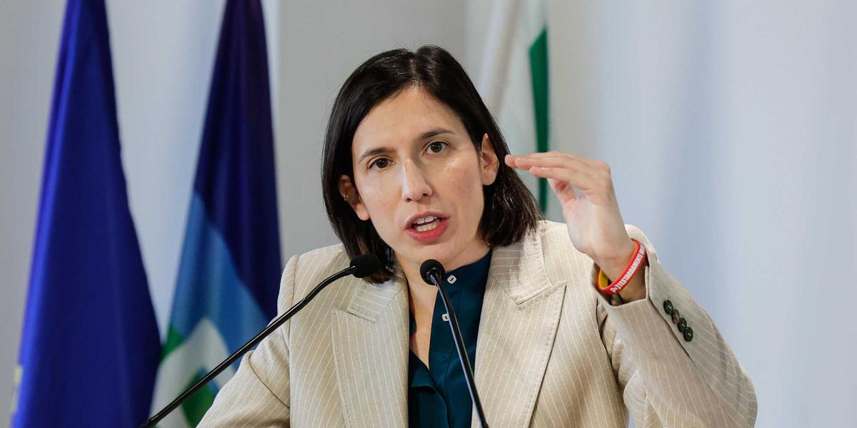 Schlein, maxi balla sulla sentenza CasaPound