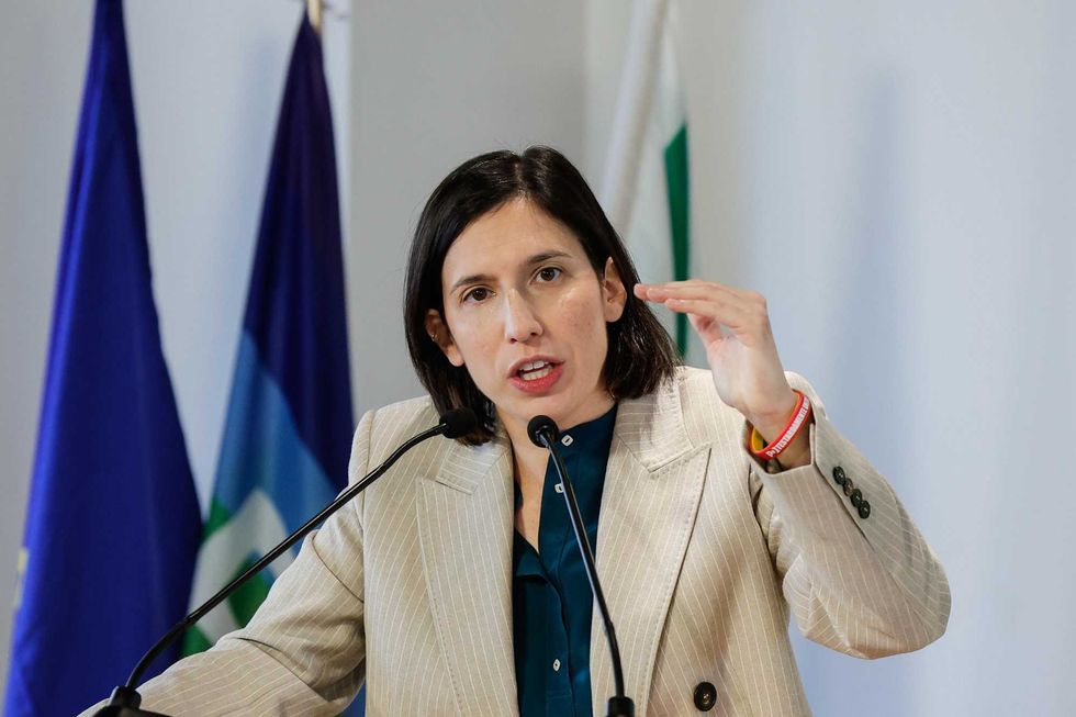 Schlein e la sentenza CasaPound: un'interpretazione errata