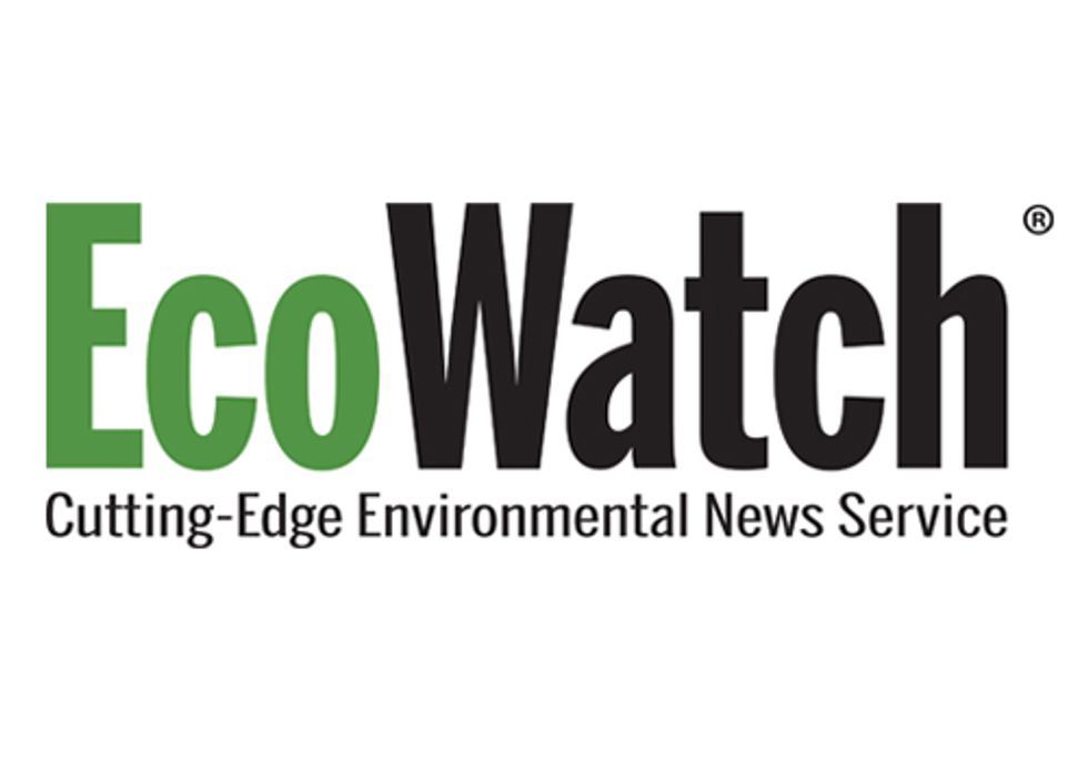 EcoWatch is Hiring
