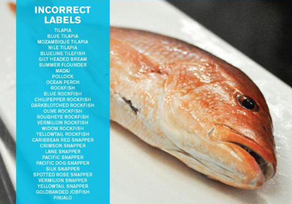 The Shocking Truth About Seafood Fraud
