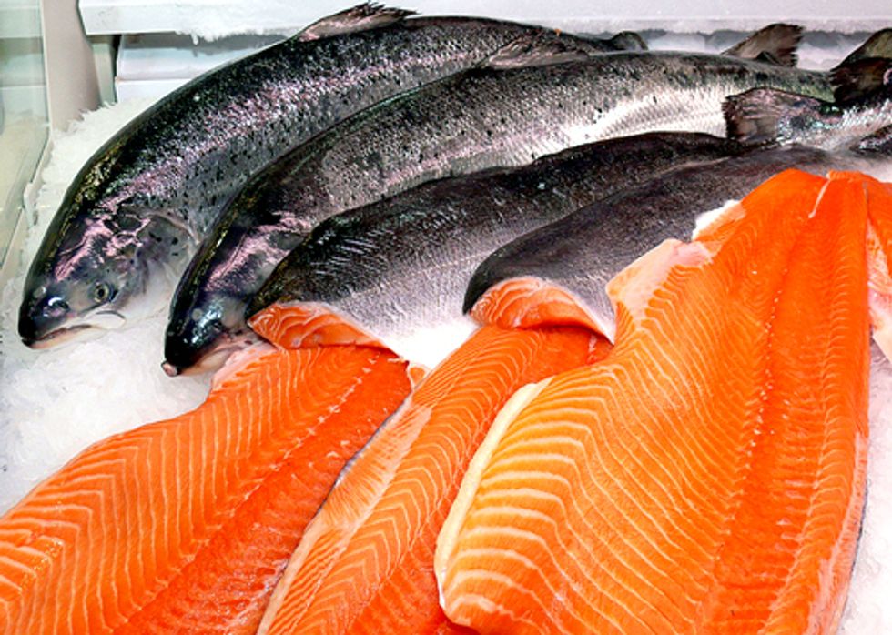 Major U.S. Supermarkets to Boycott GE Salmon