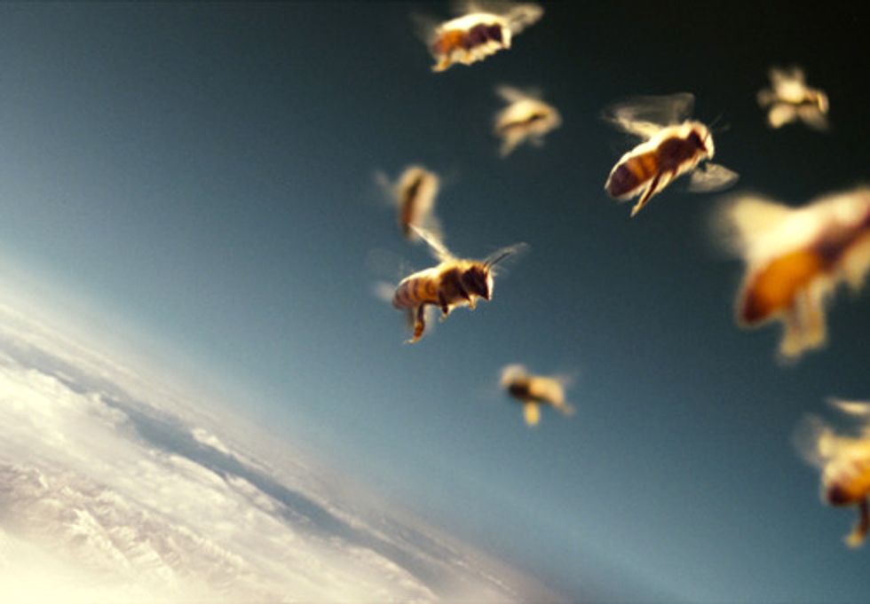 More Than Honey: How Dwindling Bee Populations Impact Global Food Supply