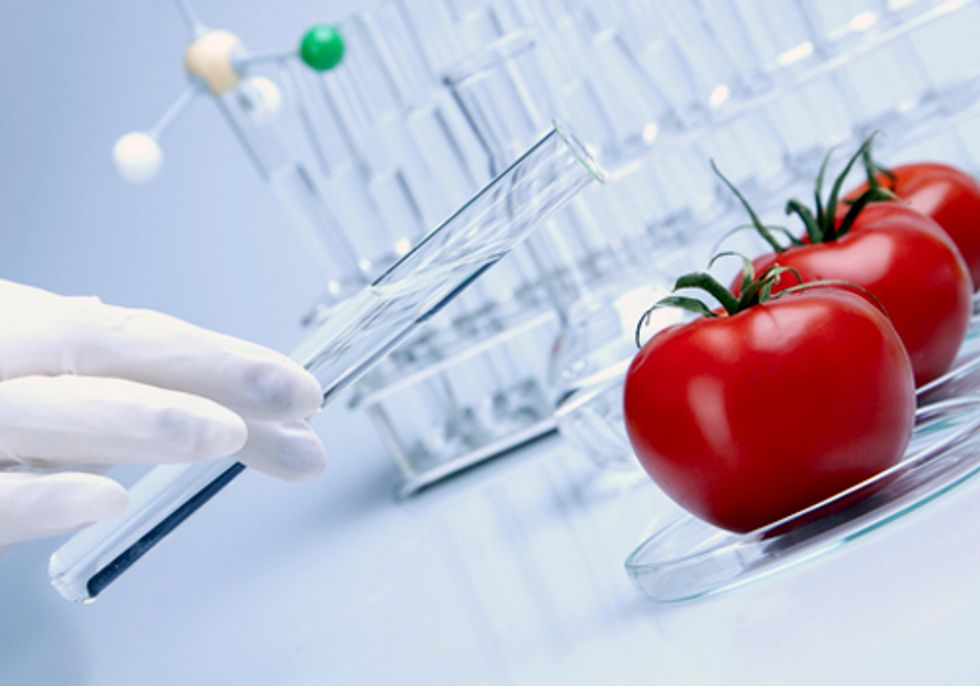 Monsanto and Other GE Companies Hitch a Ride on Must Pass Budget Bill