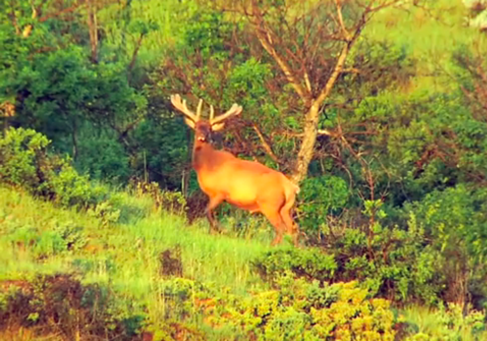 VIDEO: A Boom With No Boundaries—How Oil and Gas Drilling is Damaging Our Public Lands