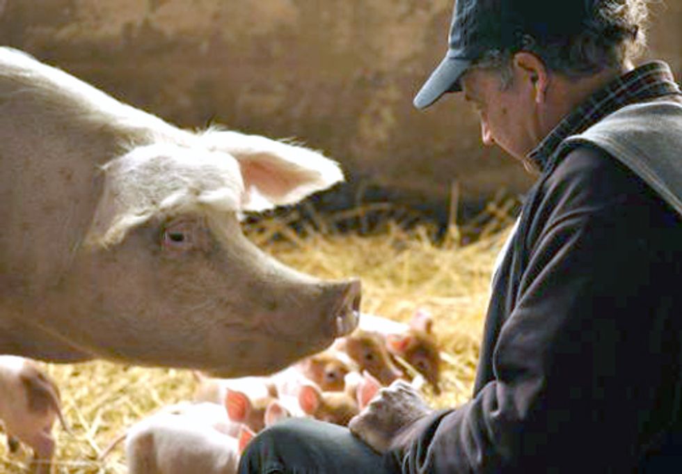 Growing Green Awards: Fifth-Generation Farmer Shares His Success Raising Pigs Sustainably and Antibiotic-Free
