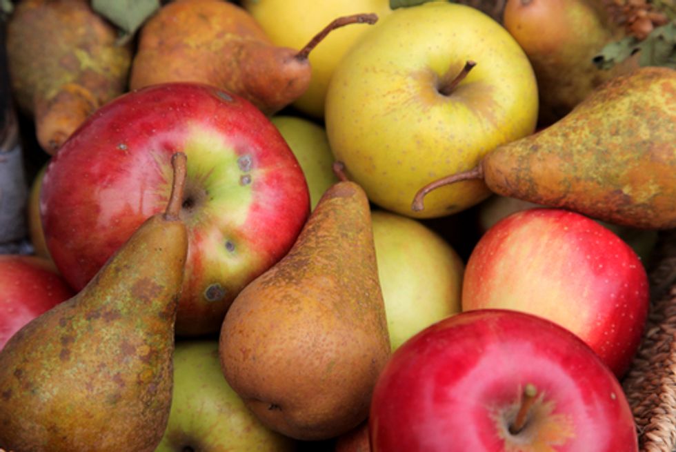 Antibiotic in Organic Pears and Apples? No, Says Organic Board