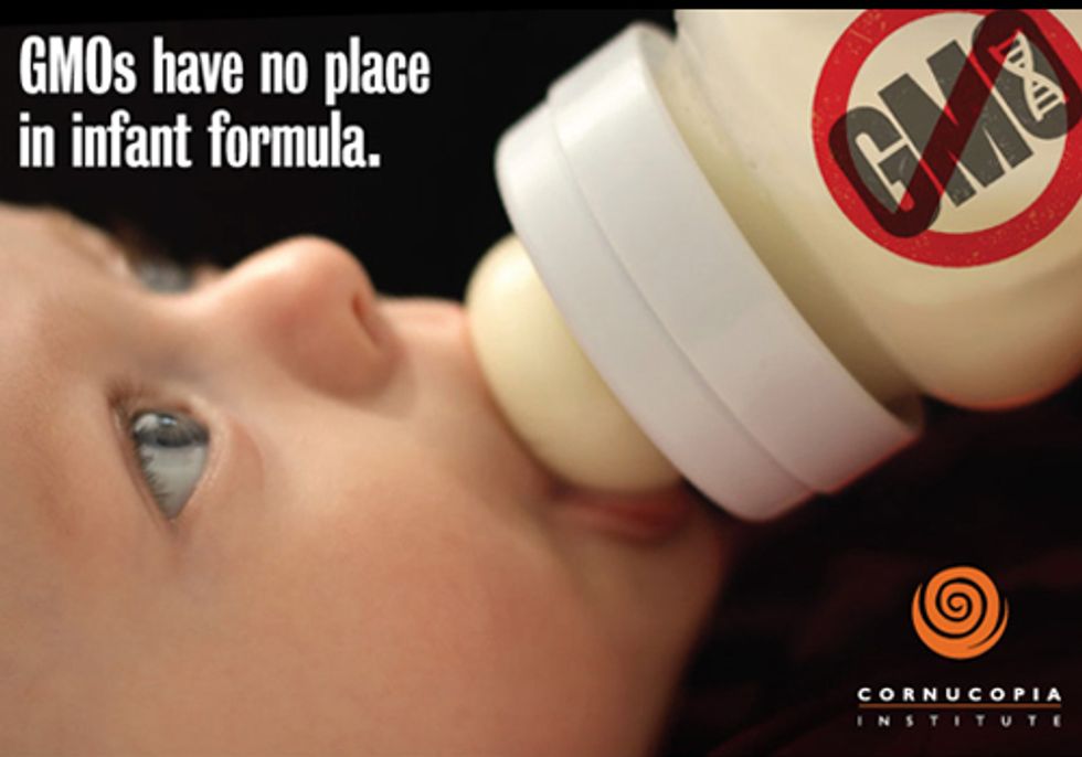 Pressure Mounts to Remove Genetically Engineered Ingredients from Infant Formula