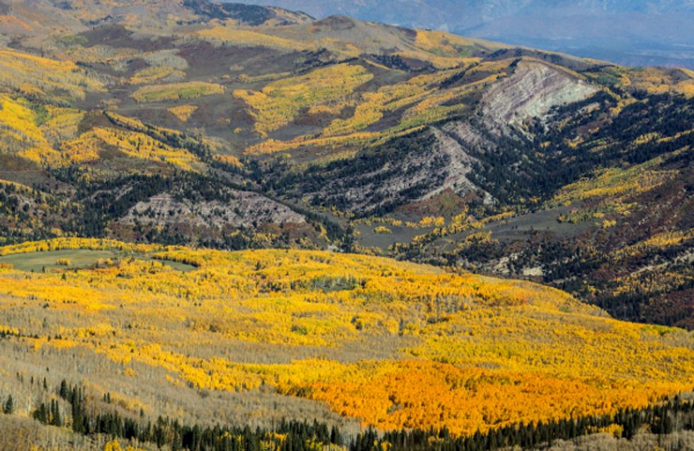 Fracking Divide: Simulating Gas Development in Colorado's Wild Wild West