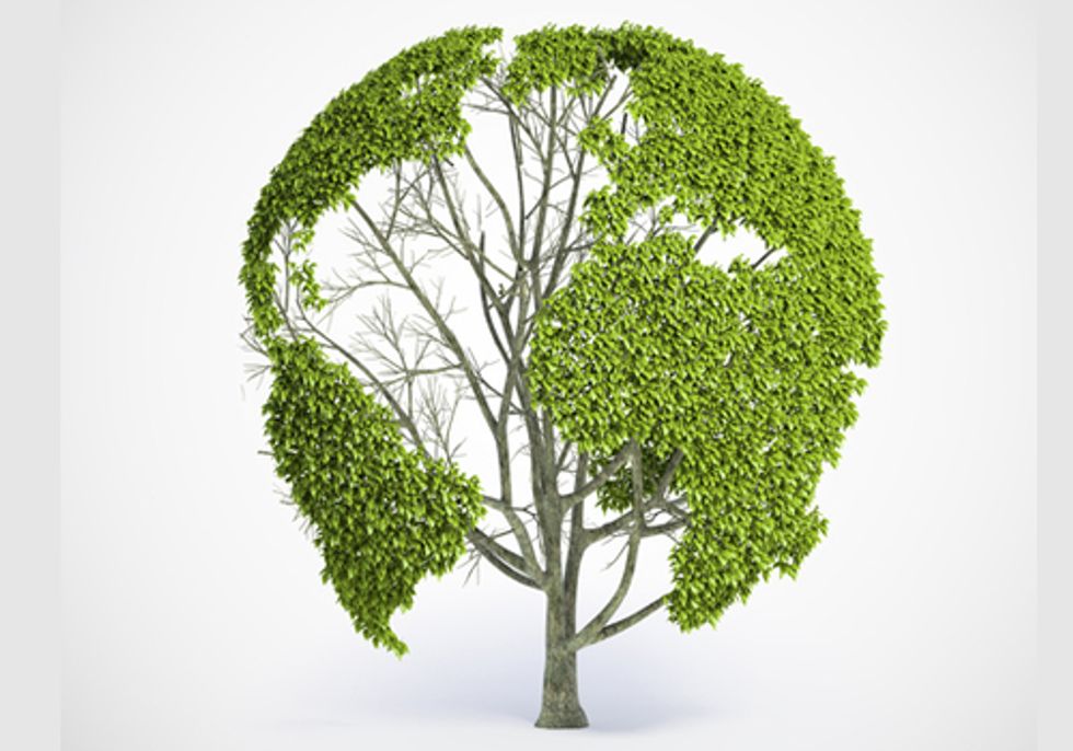 Redefining Progress: How Well-Being and Happiness Depend on a Healthy Environment