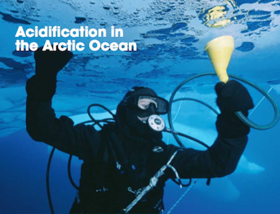 Scientists Warn of Emerging Impacts from Arctic Ocean Acidification