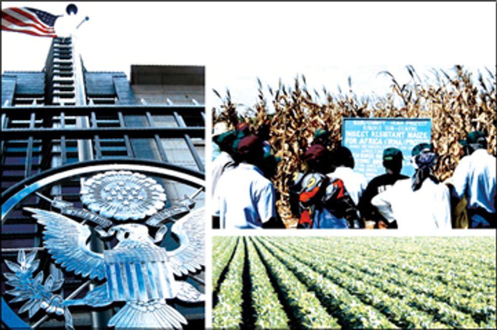 U.S. State Department Exposed For Pushing Biotech Seed Industry's Global Agenda