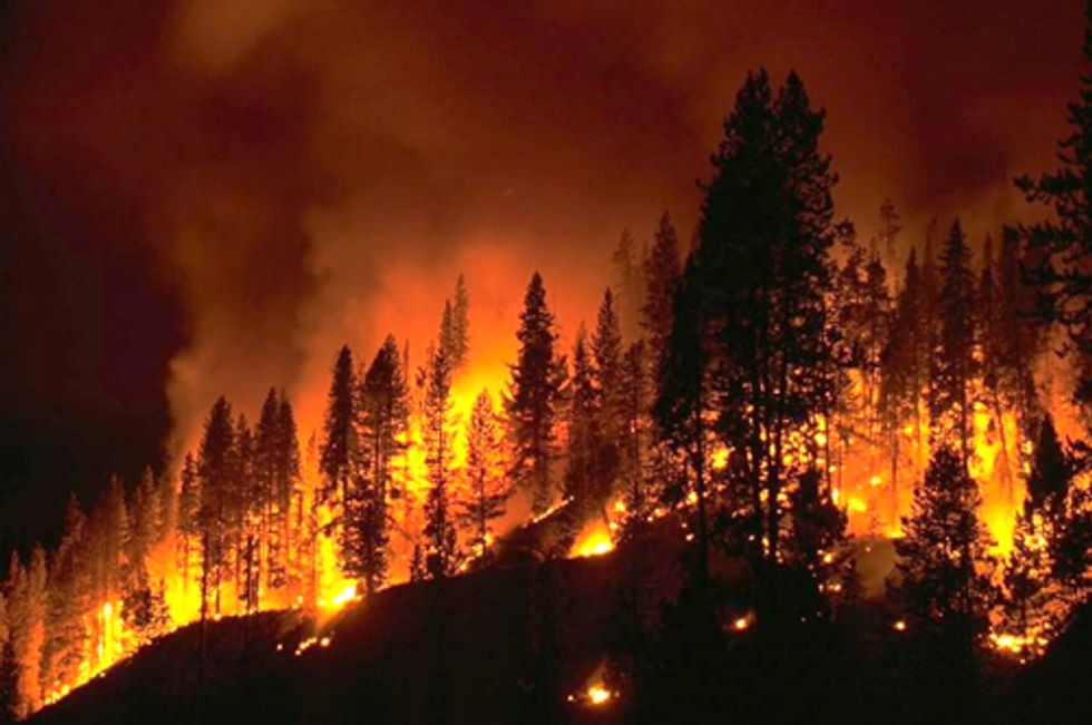 From California to Wisconsin, Record-Breaking Wildfire Season Has Begun