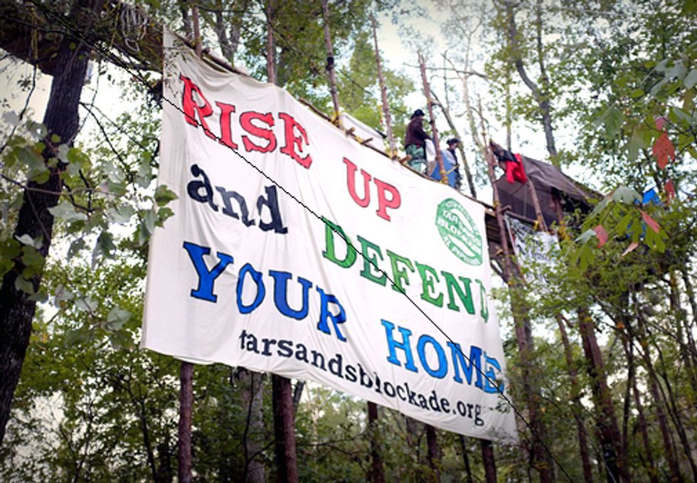 Logging Companies Want to Make Tree Sitting a Felony