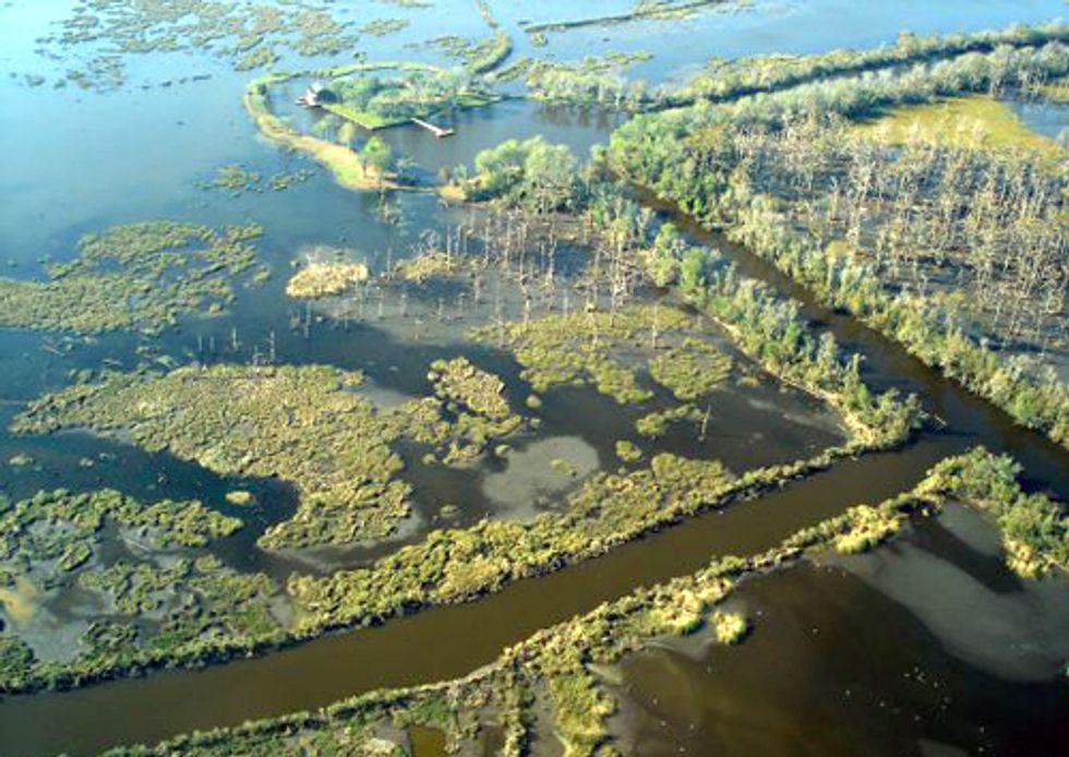 BP Deepwater Horizon Spill Accelerated Erosion Rate of Louisiana Marshes