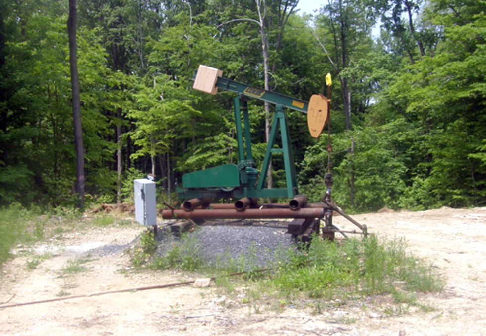 Oil and Gas Drillers Take on Forest Service in Court Battle to Frack Allegheny National Forest