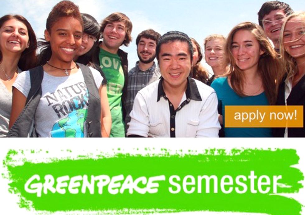 Students: Apply for Greenpeace Semester and Work with Environmental Leaders on the Latest Issues