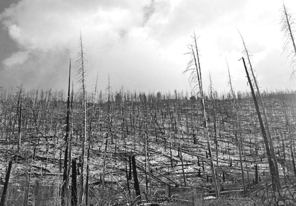 When Epic Southwestern Wildfires Subside, Then What?