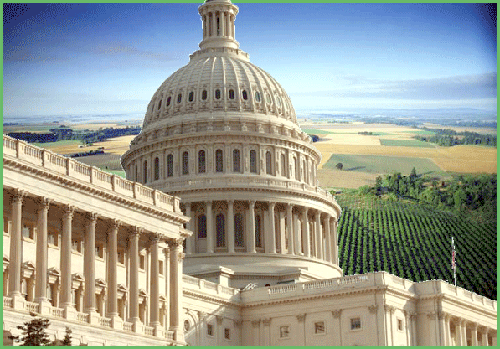 Farm Bill Draft Ignores Conservation, Enables Waste and Fraud