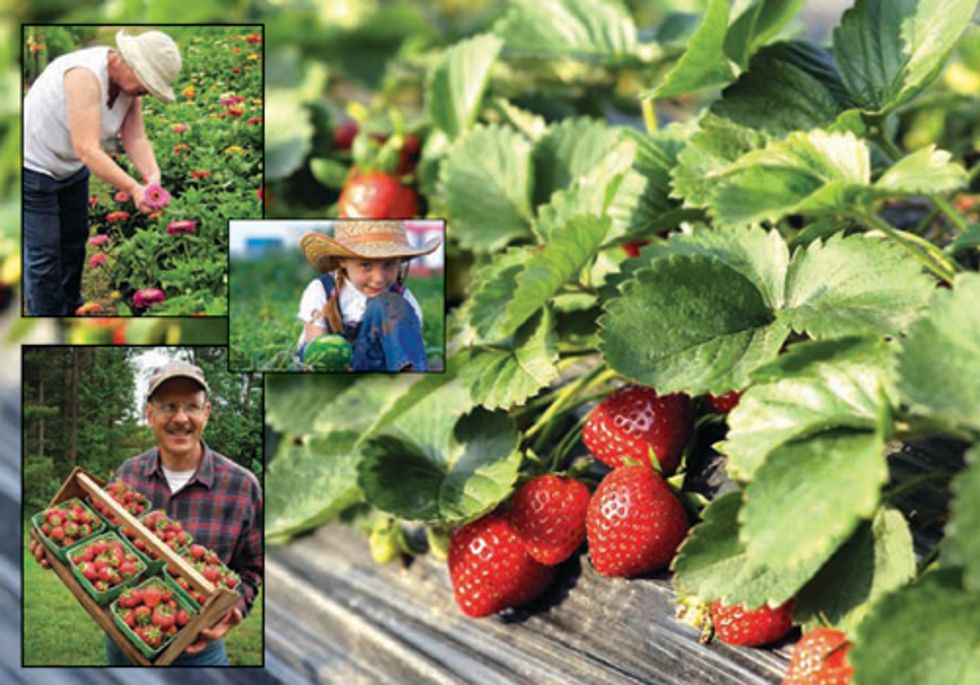 Free Public Tours Feature Ohio’s Organic and Sustainable Farms and Businesses