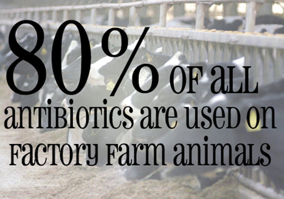 Tell the FDA: No Antibiotics in Our Food