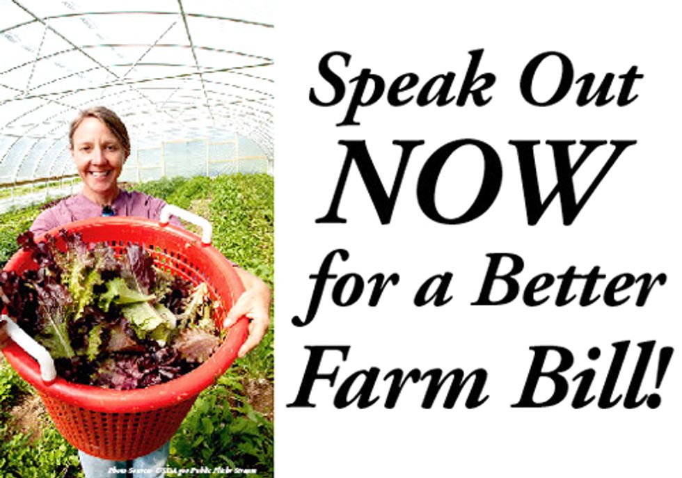 Speak out Today for Farm Bill Conservation Programs