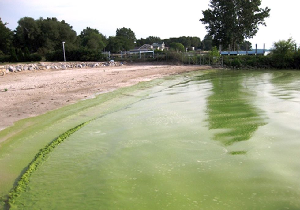 EVENT: Aquatic Biologist to Lead Talk on Deteriorating State of Great Lakes