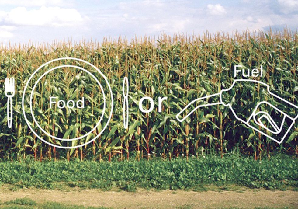 American Corn Grown for Ethanol Could Feed Hundreds of Millions