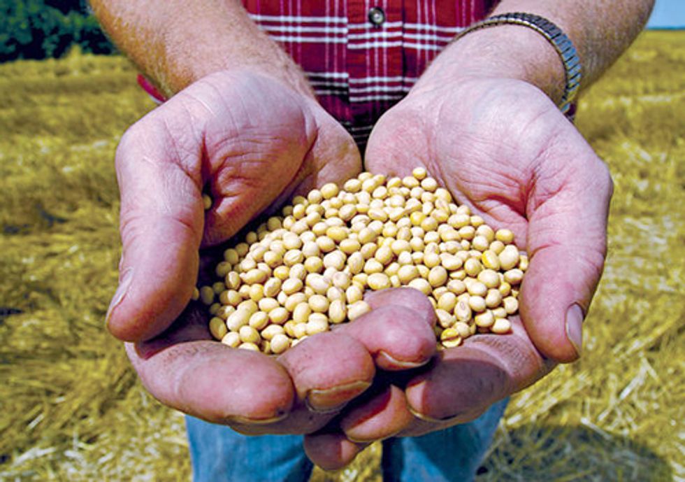 Briefs Filed to Stop Monsanto's Patent Infringement War against Family Farmers