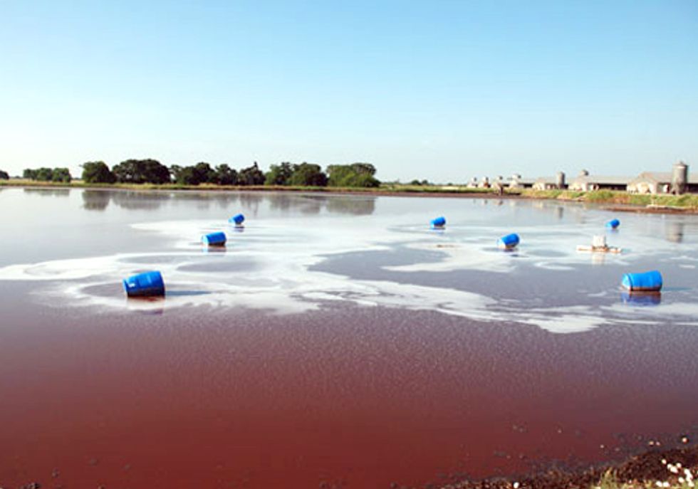 EPA Withdraws Proposed Clean Water Act Regulation Requiring CAFOs to Manage Waste